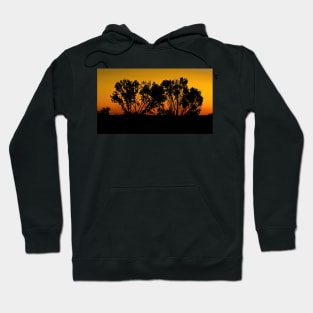 Dawn Silhouette Hoodie